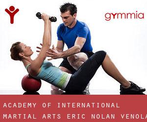Academy of International Martial Arts-Eric Nolan (Venola)