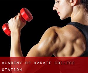 Academy Of Karate (College Station)