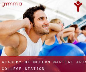 Academy of Modern Martial Arts (College Station)