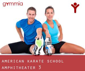 American Karate School (Amphitheater) #3
