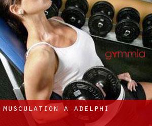 Musculation à Adelphi