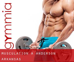 Musculation à Anderson (Arkansas)