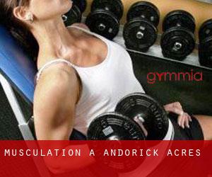 Musculation à Andorick Acres