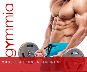 Musculation à Andres
