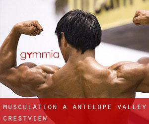 Musculation à Antelope Valley-Crestview