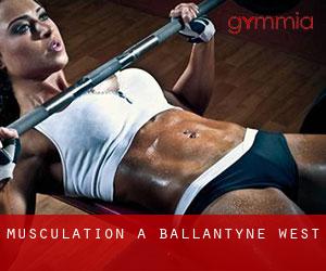 Musculation à Ballantyne West
