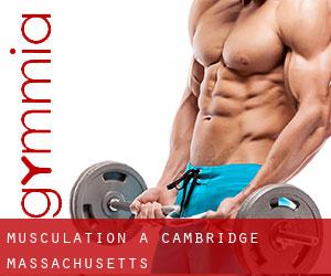 Musculation à Cambridge (Massachusetts)