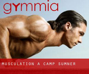 Musculation à Camp Sumner