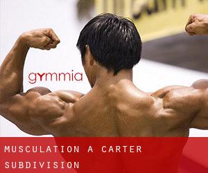 Musculation à Carter Subdivision