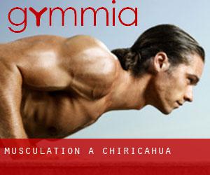 Musculation à Chiricahua