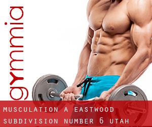 Musculation à Eastwood Subdivision Number 6 (Utah)