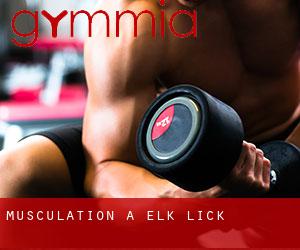 Musculation à Elk Lick