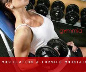 Musculation à Furnace Mountain