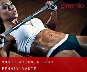 Musculation à Gray (Pennsylvanie)