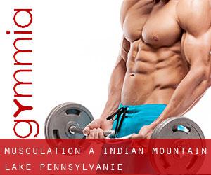 Musculation à Indian Mountain Lake (Pennsylvanie)