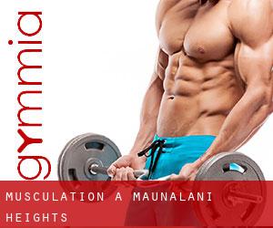 Musculation à Maunalani Heights