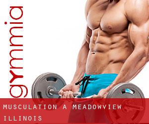 Musculation à Meadowview (Illinois)