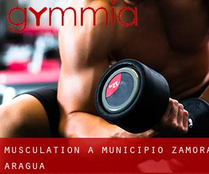 Musculation à Municipio Zamora (Aragua)