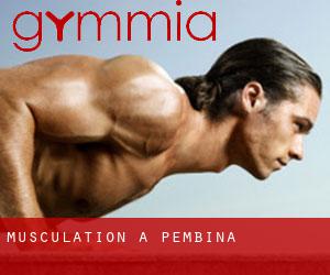 Musculation à Pembina