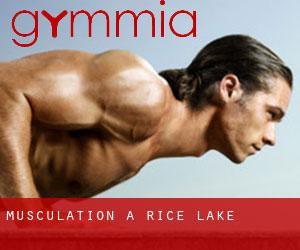 Musculation à Rice Lake