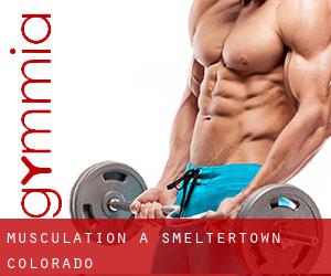 Musculation à Smeltertown (Colorado)