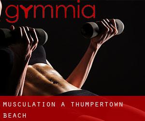 Musculation à Thumpertown Beach