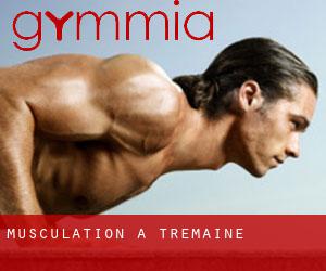 Musculation à Tremaine