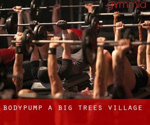 BodyPump à Big Trees Village