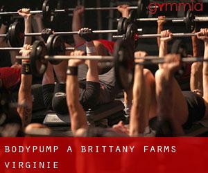 BodyPump à Brittany Farms (Virginie)