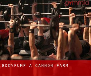 BodyPump à Cannon Farm