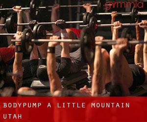 BodyPump à Little Mountain (Utah)
