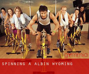 Spinning à Albin (Wyoming)