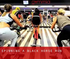 Spinning à Black Horse Run