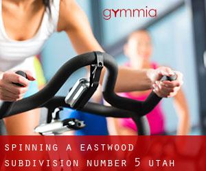 Spinning à Eastwood Subdivision Number 5 (Utah)