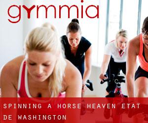 Spinning à Horse Heaven (État de Washington)