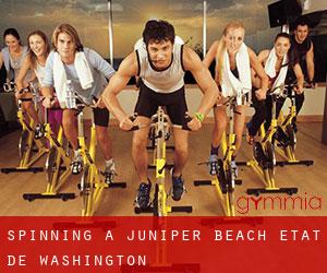 Spinning à Juniper Beach (État de Washington)
