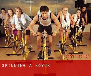 Spinning à Koyuk