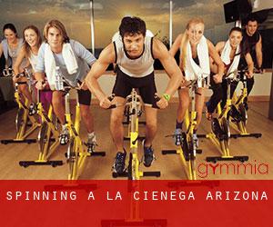 Spinning à La Cienega (Arizona)