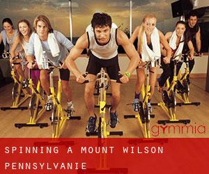 Spinning à Mount Wilson (Pennsylvanie)
