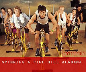 Spinning à Pine Hill (Alabama)