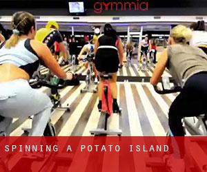 Spinning à Potato Island