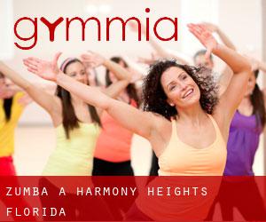Zumba à Harmony Heights (Florida)