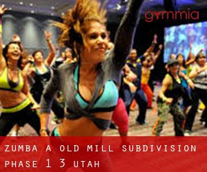 Zumba à Old Mill Subdivision Phase 1-3 (Utah)