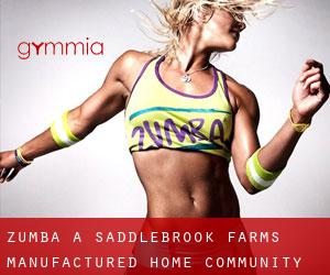 Zumba à Saddlebrook Farms Manufactured Home Community