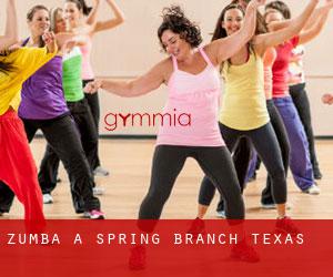 Zumba à Spring Branch (Texas)