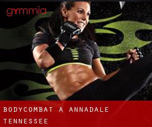 BodyCombat à Annadale (Tennessee)
