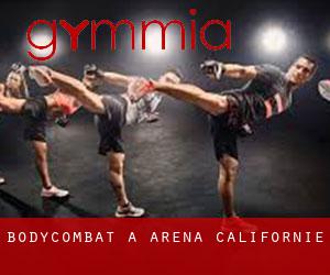 BodyCombat à Arena (Californie)