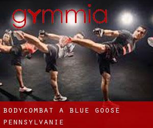 BodyCombat à Blue Goose (Pennsylvanie)