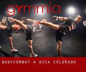 BodyCombat à Dick (Colorado)