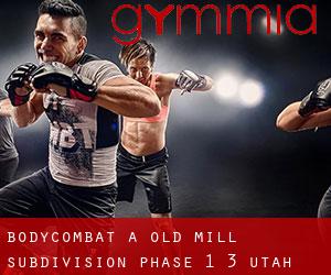 BodyCombat à Old Mill Subdivision Phase 1-3 (Utah)